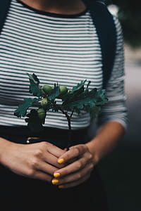Selective Focus Photograph of Green Plant on Person's Hands thumbnail
