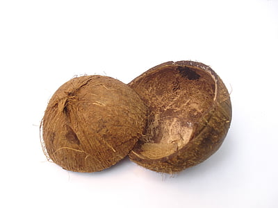 coconut husk thumbnail