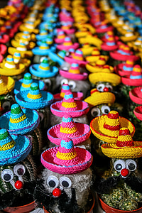 succulent character wearing hat decors thumbnail