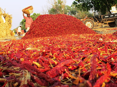 dried chilis close-up photography during daytime thumbnail