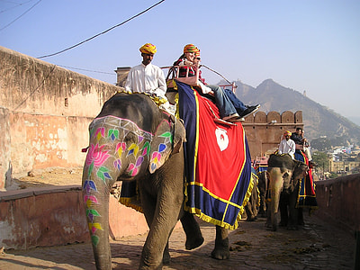 people riding elephant under blue sky thumbnail