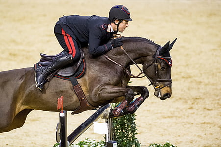 equestrian rider jumping hurdles during daytime thumbnail