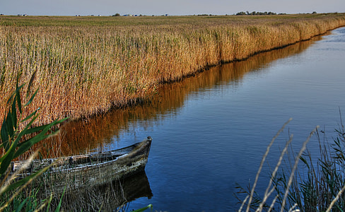 gray boat on lake near paddy thumbnail