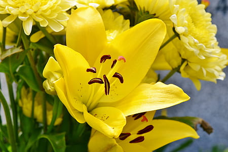 shallow focus photography of flowers thumbnail