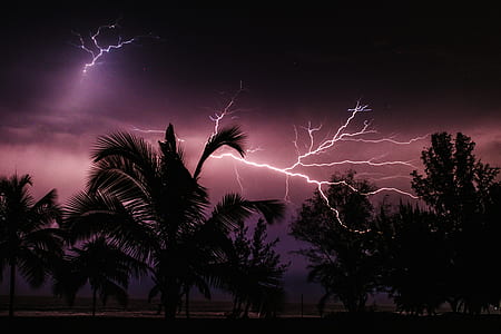lightning striking a tree thumbnail