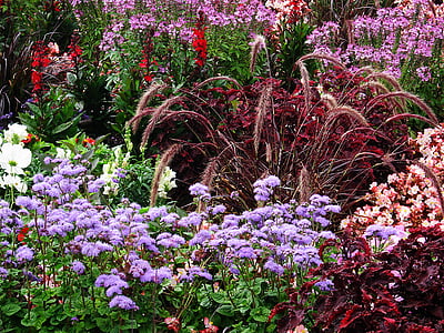 assorted-color flowers garden thumbnail