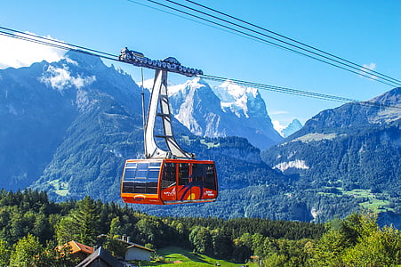 red cable car viewing forest with trees thumbnail