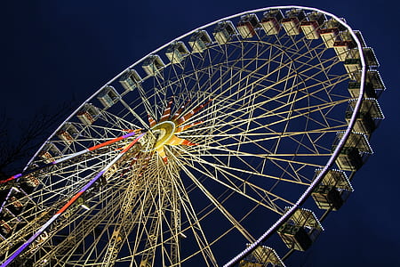 low-angle photography of lighted ferris wheel at night thumbnail