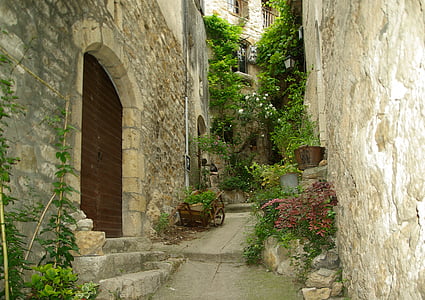pathway between gray concrete buildings and green plants thumbnail