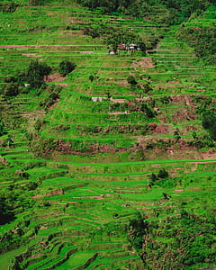 rice terraces thumbnail