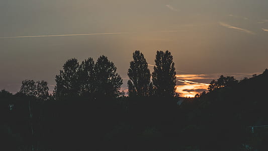 dawn, nature, sky, sunset thumbnail