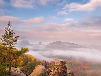 green and yellow trees on mountain with fogs at daytime thumbnail