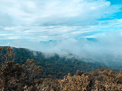 Arial Photography of Forest thumbnail