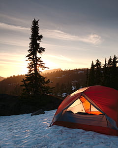 red tent on snow near pine trees thumbnail