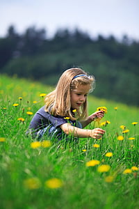 girl picking yellow flowers surrounded by green grass under daytime sky thumbnail