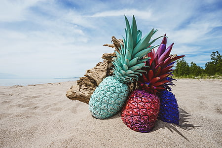 pineapples on brown driftwood on sand near seashore during daytime thumbnail