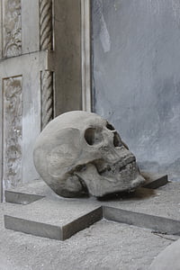 gray human skull on cross thumbnail