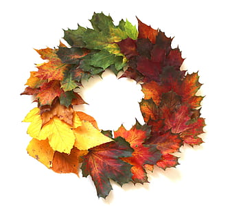 assorted-color maple leaves wreath thumbnail