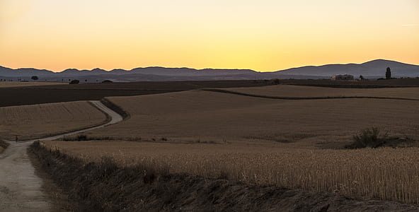 brown grass field thumbnail