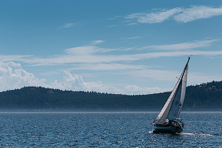 sailboat on body of water thumbnail