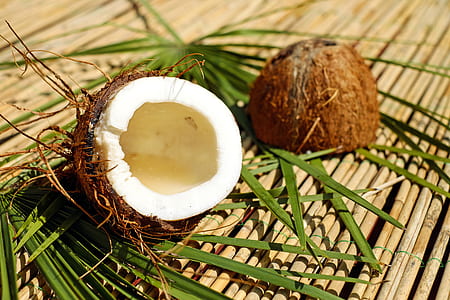 slice coconut shell thumbnail