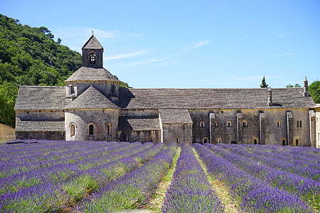 gray concrete chapel beside field of lavender flower thumbnail
