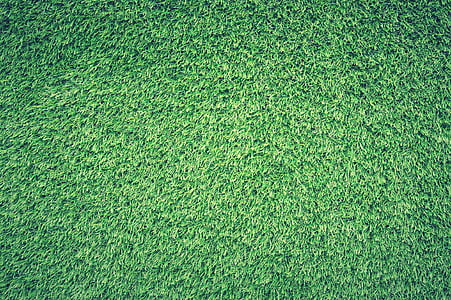 green grass field digital wallpaper thumbnail
