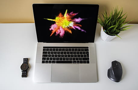 MacBook Pro beside potted plant thumbnail