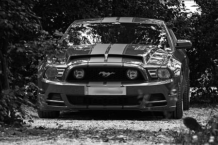 black Ford Mustang thumbnail