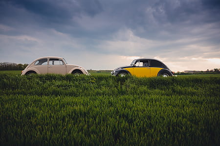 two cars near green grass field thumbnail