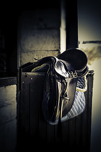 selective focus photography of black leather horse saddle on black board thumbnail