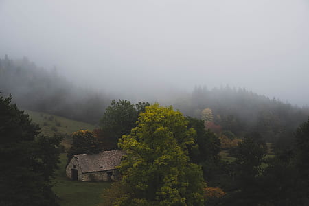 aerial photography of concrete house surrounded with trees during fog thumbnail