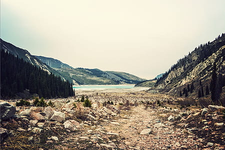 brown rocks near trees and mountain thumbnail