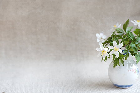 white windflower in vase thumbnail