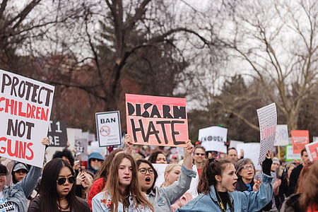 group of person protesting outdoors thumbnail