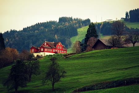 Red and White 2 Storey House Surrounded by Trees during Daytime thumbnail