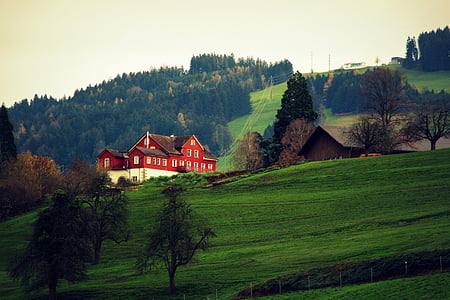 red and white painted house near green leafed trees thumbnail