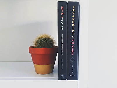 two books beside cactus plant on pot thumbnail