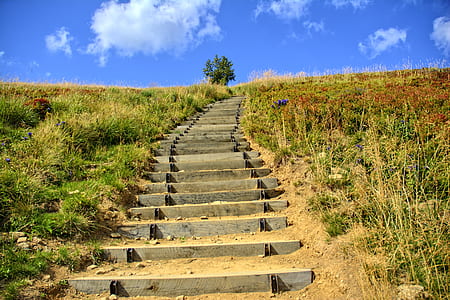gray cement stair surrounded by grass under blue and white cloudy sky thumbnail