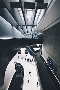 silver escalator collage thumbnail