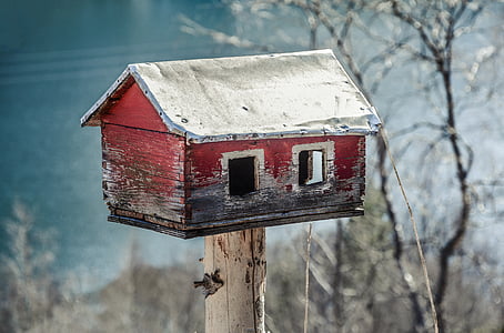 red and gray wooden birdhouse thumbnail