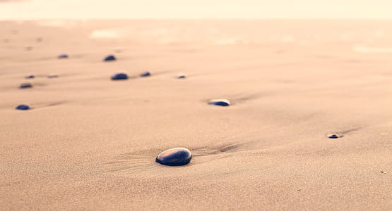 selective focus photo of sand field thumbnail
