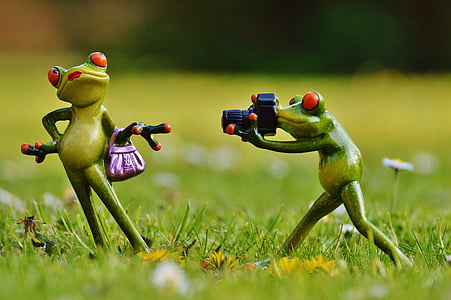 frog posing while other frog talking photo figurines thumbnail
