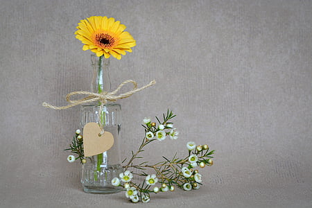 sunflower in clear glass vase thumbnail