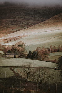 landscape photography of mountains and trees thumbnail