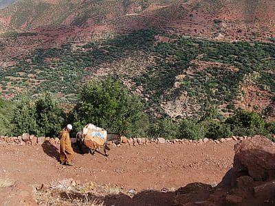 man wearing brown thobe walking beside brown horse on hill above forest during daytime thumbnail