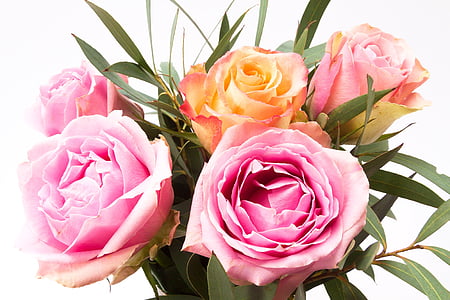 closeup photo of orange and pink roses in bloom thumbnail