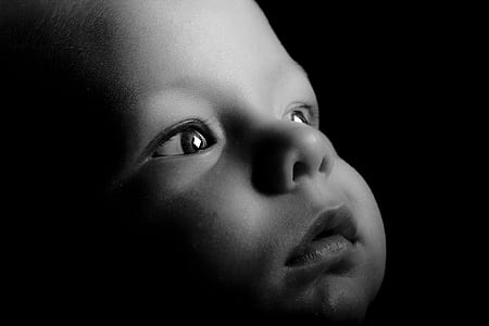 baby's face in grayscale photography thumbnail