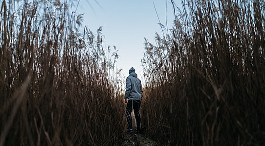low angle photography of man wearing gray pull-over hoodie and black pants running on grass field at daytime thumbnail