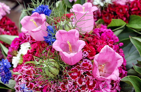 pink flowers thumbnail